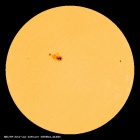 SDO/HMI Continuum Image of the Sun